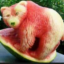 Watter melon